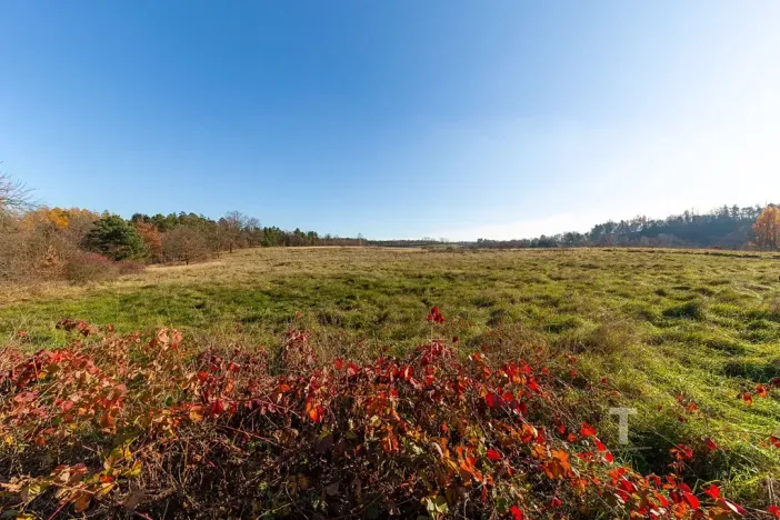 Prodej pozemku pro bydlení, Vrchotovy Janovice, 157355 m2