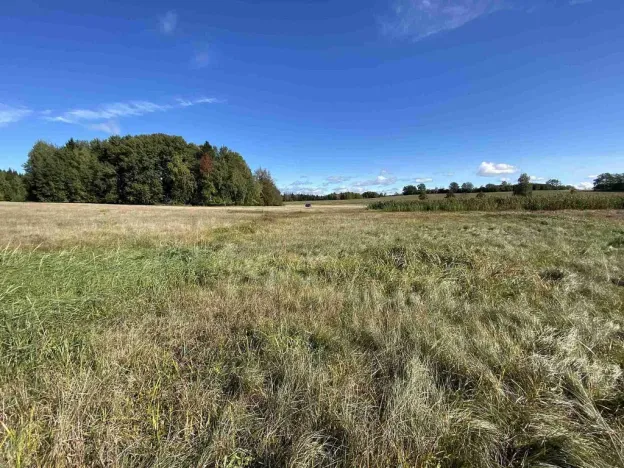 Prodej pole, Nový Rychnov - Čejkov, 4706 m2