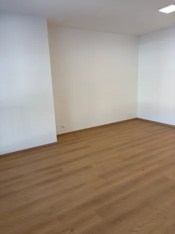 Pronájem bytu 1+kk, Praha - Hloubětín, Poděbradská, 42 m2