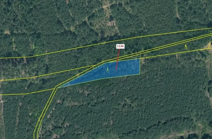 Dražba lesa, Jesenice, 1636 m2