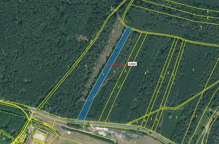 Dražba lesa, Jesenice, 4076 m2