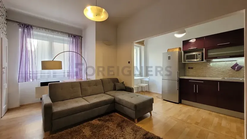 Pronájem bytu 2+kk, Brno, Botanická, 56 m2