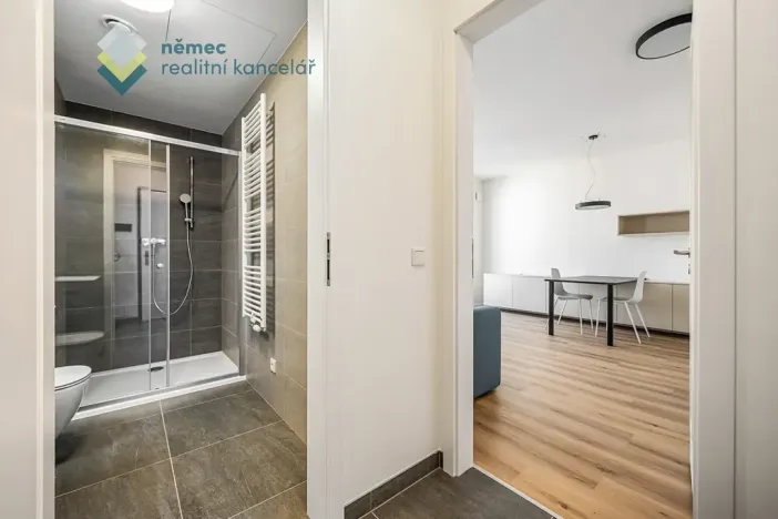 Pronájem bytu 1+kk, Praha - Kamýk, Hodkovická, 30 m2