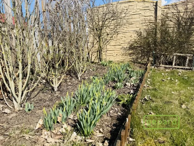 Pronájem zahrady, Starý Plzenec, 493 m2