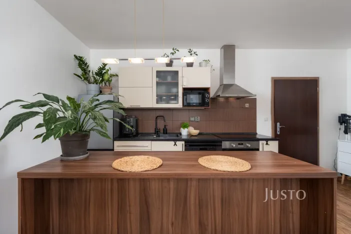 Prodej bytu 1+kk, České Budějovice - České Budějovice 2, Husova tř., 36 m2