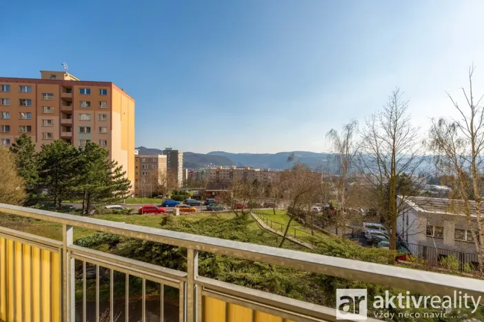 Prodej bytu 3+1, Ústí nad Labem - Severní Terasa, Brandtova, 78 m2