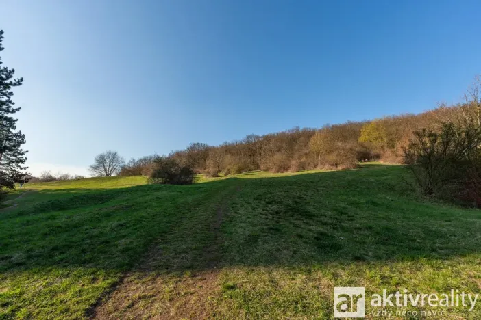 Prodej bytu 3+1, Ústí nad Labem - Severní Terasa, Brandtova, 78 m2