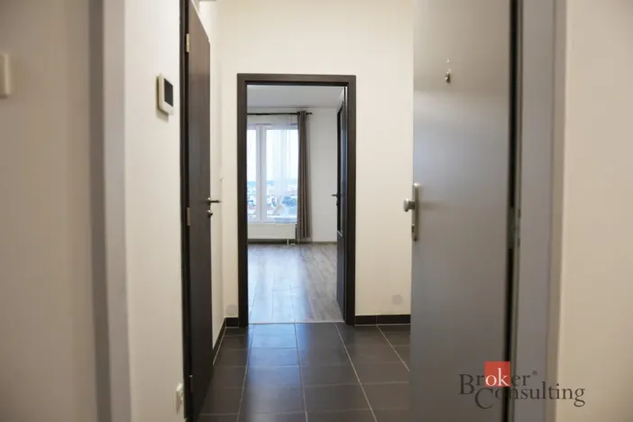 Pronájem bytu 1+kk, Plzeň - Jižní Předměstí, Nemocniční, 30 m2