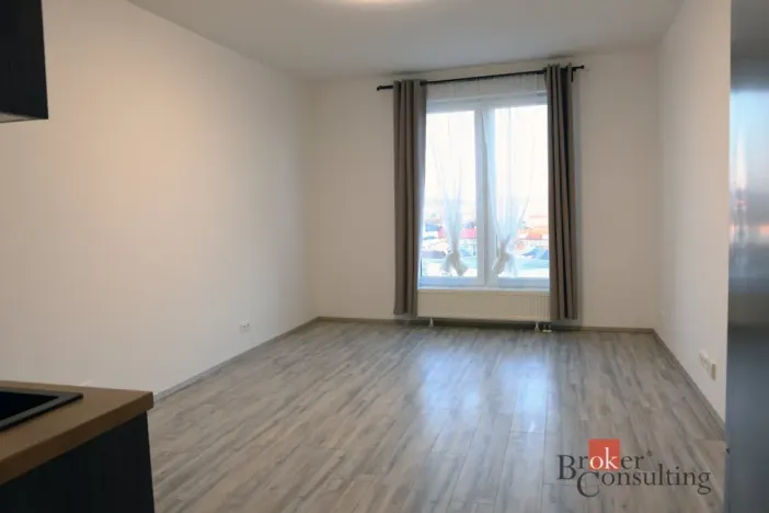 Pronájem bytu 1+kk, Plzeň - Jižní Předměstí, Nemocniční, 30 m2