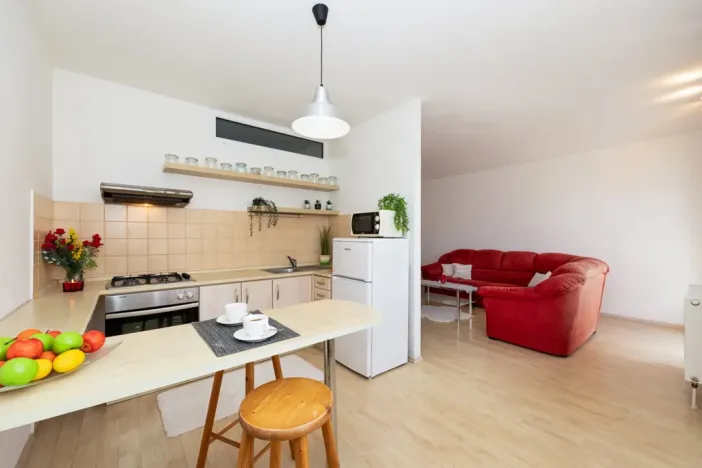 Prodej bytu 2+kk, Klatovy - Klatovy III, Luční, 63 m2