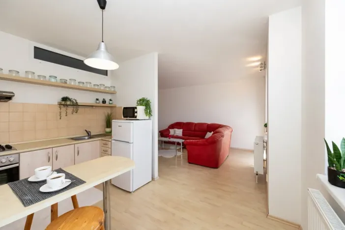 Prodej bytu 2+kk, Klatovy - Klatovy III, Luční, 63 m2