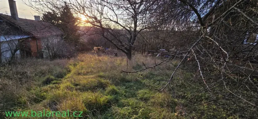 Pronájem zahrady, Brno, Podhájí, 1359 m2