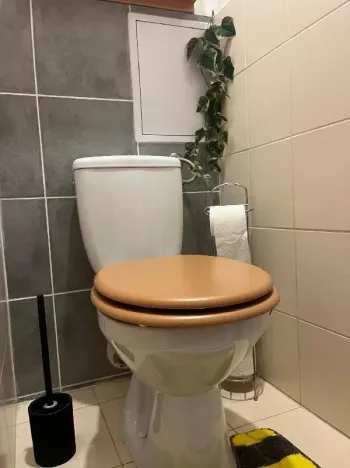 Prodej bytu 3+1, Kamenice, Ringhofferova, 72 m2