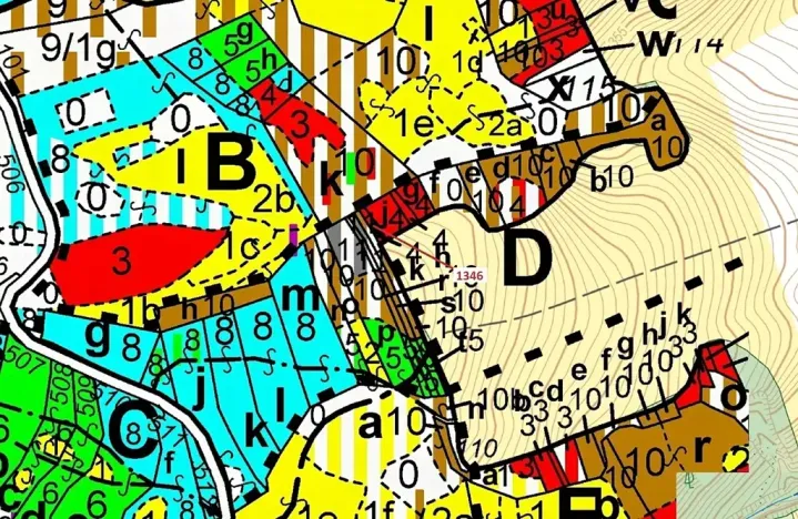 Dražba lesa, Spešov, 135 m2