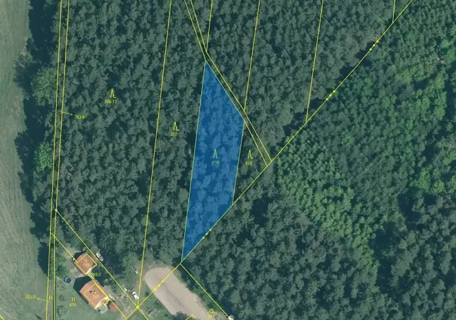 Dražba lesa, Záhoří, 1446 m2