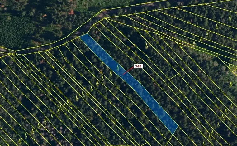 Dražba lesa, Dolní Vilémovice, 1957 m2