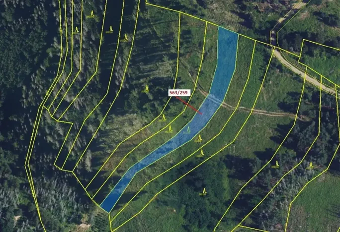 Dražba lesa, Spešov, 2318 m2