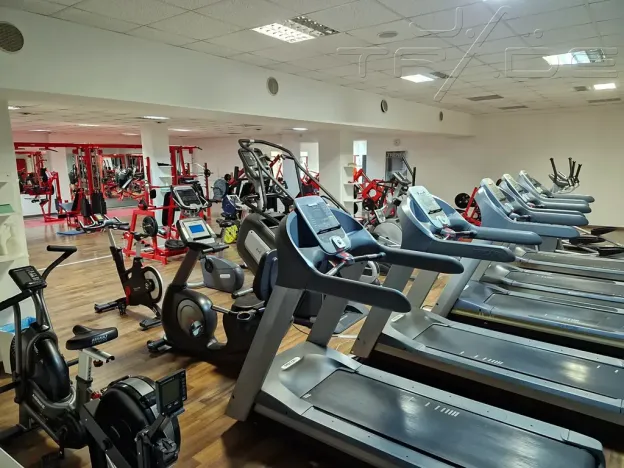 Prodej obchodního prostoru, Znojmo, Vídeňská třída, 5100 m2