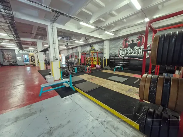 Prodej obchodního prostoru, Znojmo, Vídeňská třída, 5100 m2