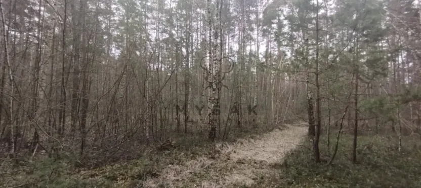Prodej lesa, Borovany - Vrcov, 18645 m2
