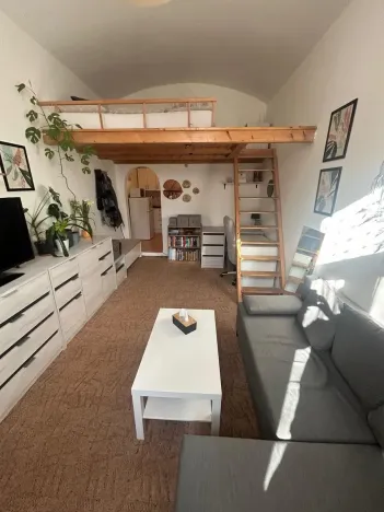 Pronájem bytu 1+kk, Praha - Smíchov, Zoubkova, 27 m2