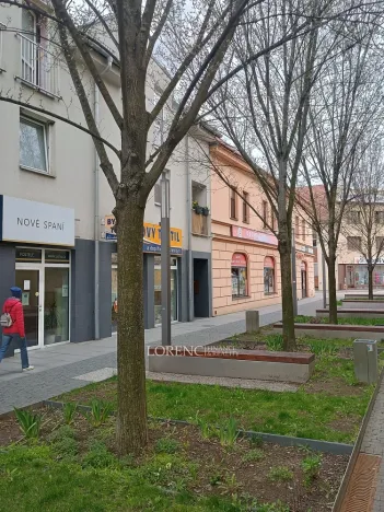 Pronájem obchodního prostoru, Veselí nad Moravou, Sokolovská, 116 m2