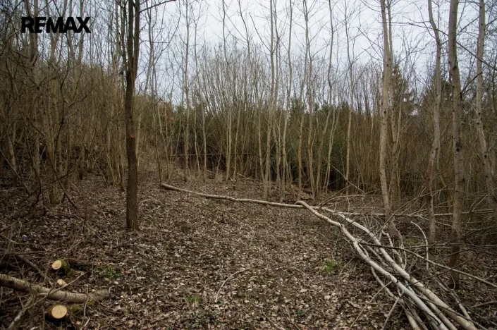 Prodej zahrady, Brtnice, 2388 m2