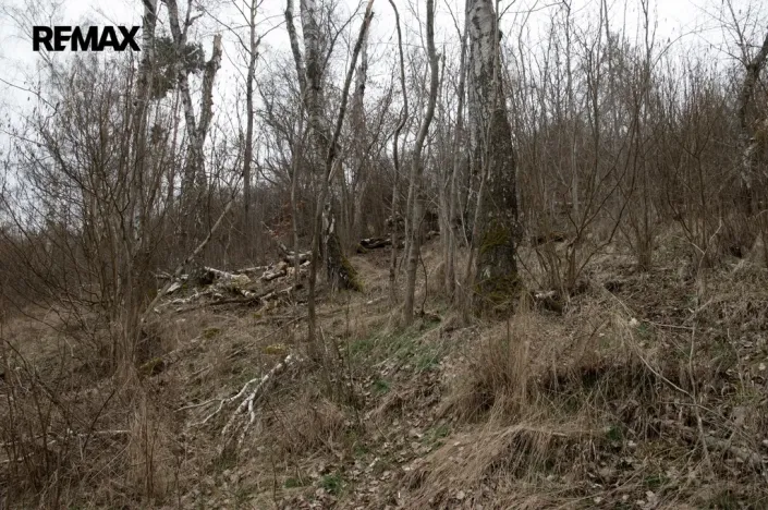 Prodej zahrady, Brtnice, 2388 m2