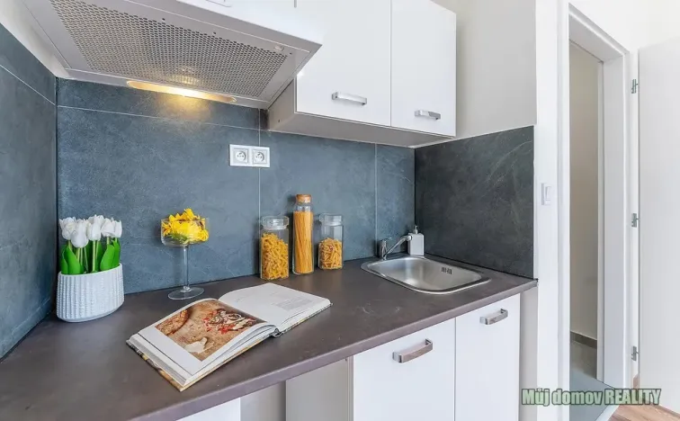 Pronájem bytu 1+kk, Praha - Břevnov, Na břevnovské pláni, 18 m2