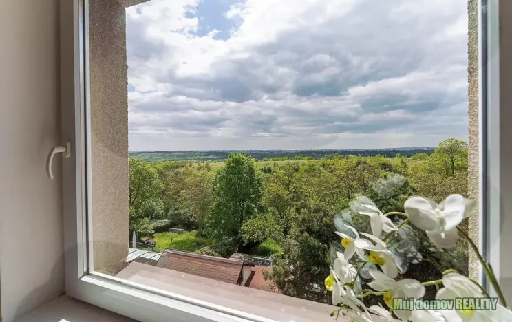 Pronájem bytu 1+kk, Praha - Břevnov, Na břevnovské pláni, 18 m2