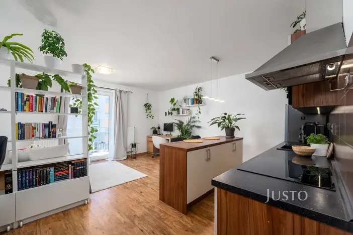 Prodej bytu 1+kk, České Budějovice, Husova tř., 36 m2