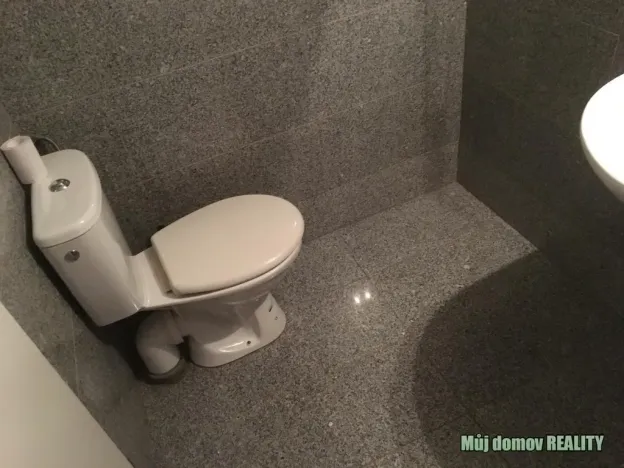 Pronájem bytu 1+kk, Praha - Vysočany, Freyova, 17 m2