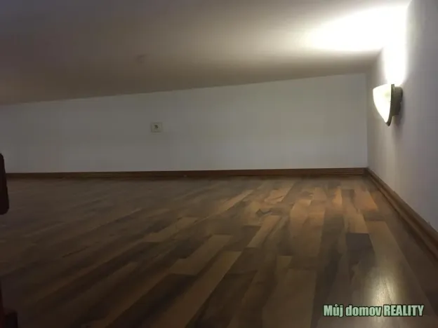 Pronájem bytu 1+kk, Praha - Vysočany, Freyova, 18 m2