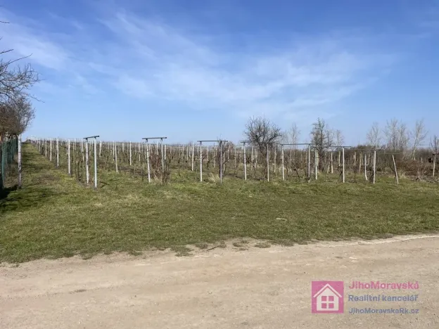Prodej sadu/vinice, Rakvice, Horní, 9203 m2