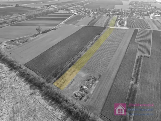 Prodej sadu/vinice, Rakvice, Horní, 9203 m2