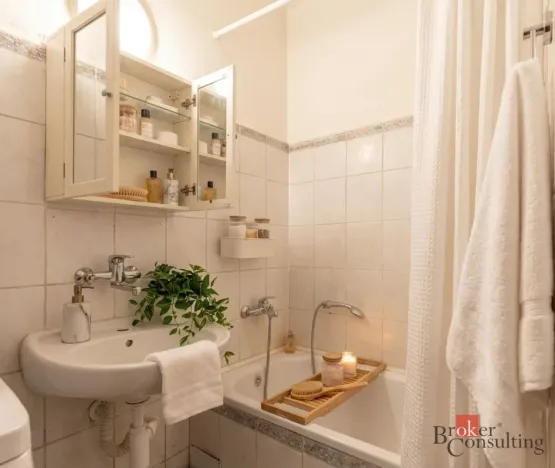 Prodej bytu 2+kk, Praha - Žižkov, Hartigova, 54 m2