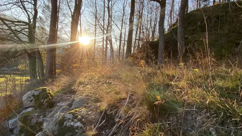 Prodej pozemku, Bílý Potok, 1625 m2