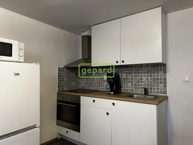 Prodej bytu 1+1, Brno, Bulharská, 45 m2