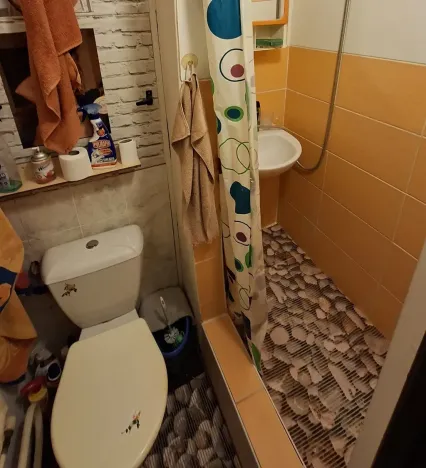 Prodej bytu 1+1, Brno, Halasovo náměstí, 29 m2