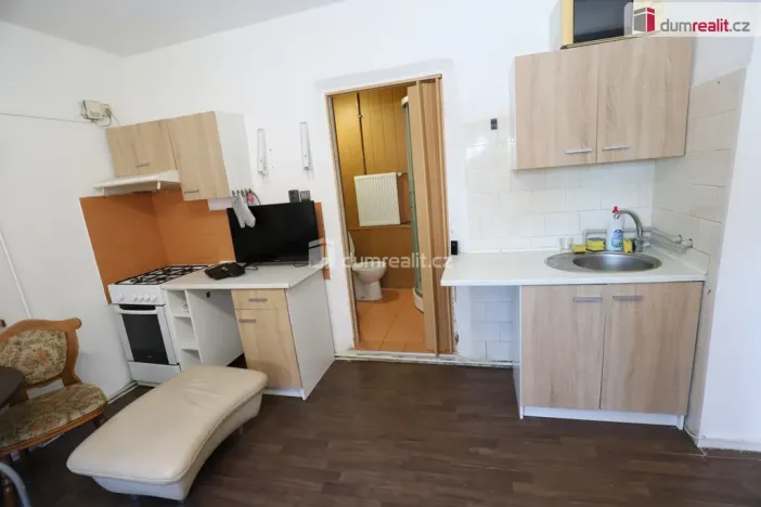 Prodej ubytování, Habartov, Vítězná, 330 m2