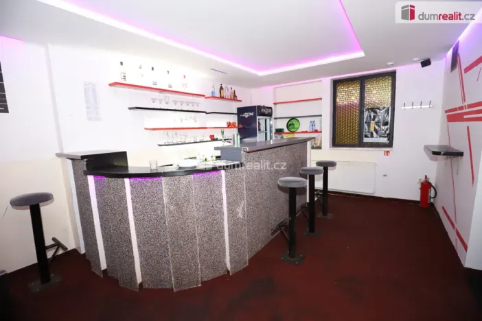 Prodej ubytování, Habartov, Vítězná, 330 m2