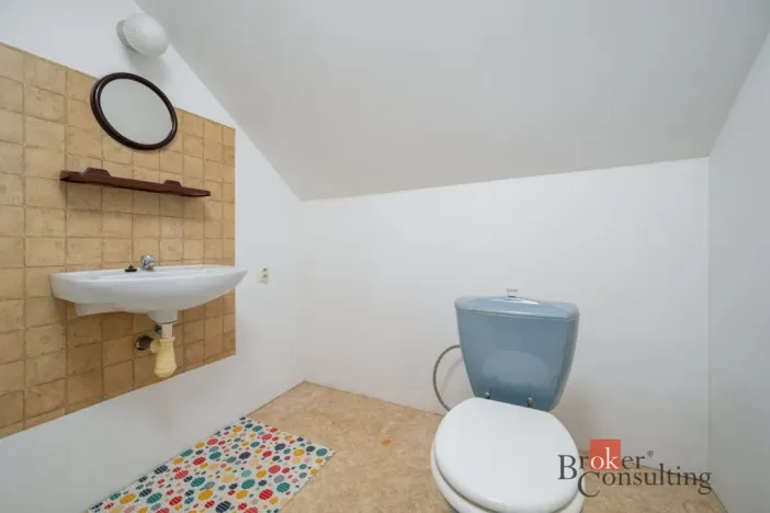 Prodej rodinného domu, Boseň - Mužský, 165 m2