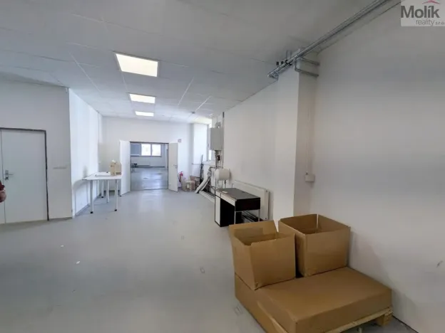 Pronájem výrobních prostor, Teplice, Pražská, 1185 m2