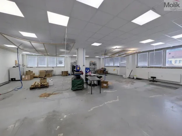 Pronájem výrobních prostor, Teplice, Pražská, 1185 m2