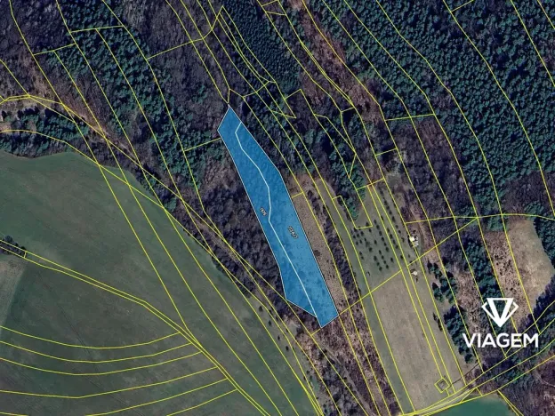 Prodej pole, Ludkovice, 10602 m2