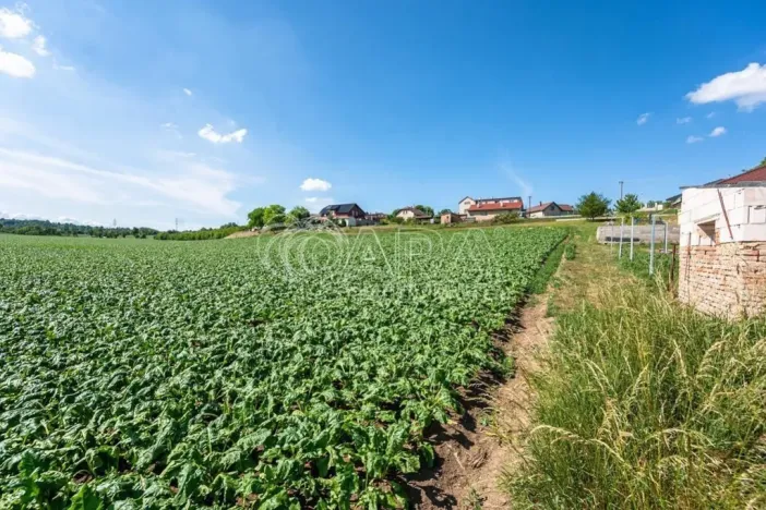 Prodej pozemku pro bydlení, Dobrovice - Úherce, 1121 m2