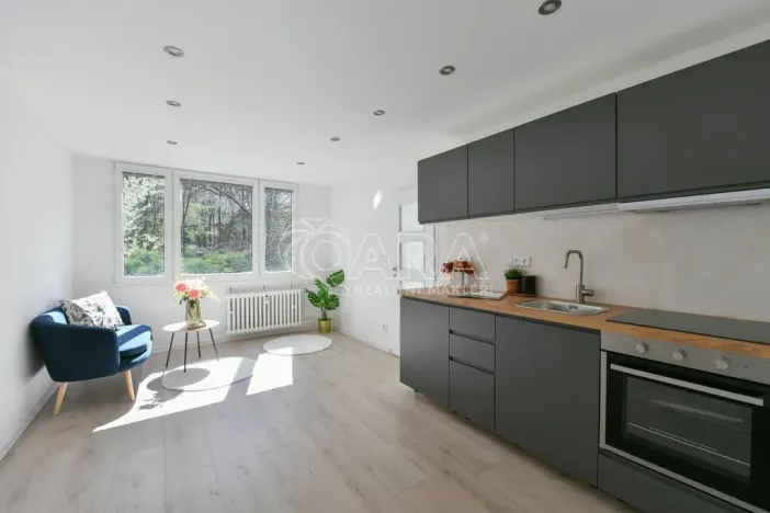 Prodej bytu 2+kk, Praha - Krč, Hurbanova, 39 m2