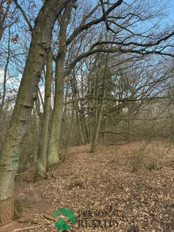 Prodej lesa, Hořovičky - Hokov, 43588 m2