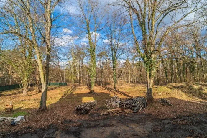 Prodej pozemku pro bydlení, Ovčáry, 6090 m2