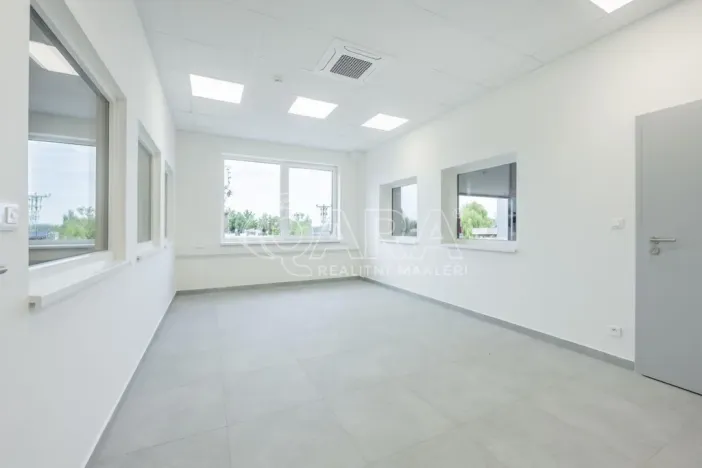 Pronájem skladu, Divišov, 2398 m2